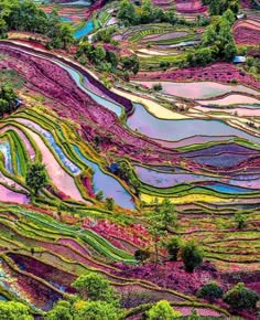 a vibrant and colorful photograph showcasing the beauty of rice terraces in a mountainous region. the image captures the intricate patterns of the terraces, which are meticulously carved into the hillside. the lush green rice paddies are interspersed with areas of water, reflecting the sky and creating a stunning visual contrast. the surrounding hills and mountains provide a dramatic backdrop, adding to the overall splendor of the scene. the vibrant colors, intricate details, and majestic setting make this photograph a true testament to the beauty and artistry of nature.