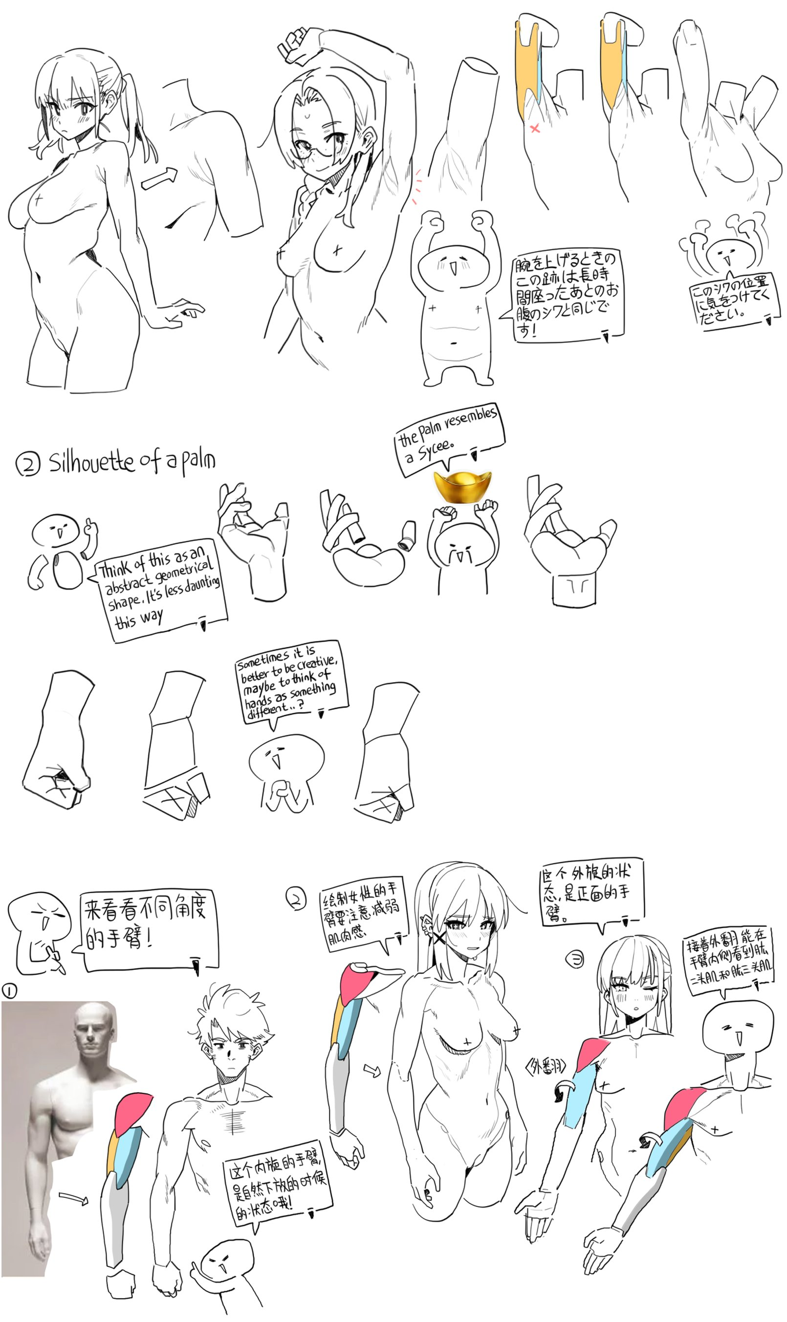 this image is a tutorial on how to draw the human body, focusing on the hands and arms. it features several sketches of female figures in various poses, highlighting the muscles and structure of the limbs. the tutorial emphasizes the importance of understanding anatomy and using simplified shapes to create dynamic and realistic poses.