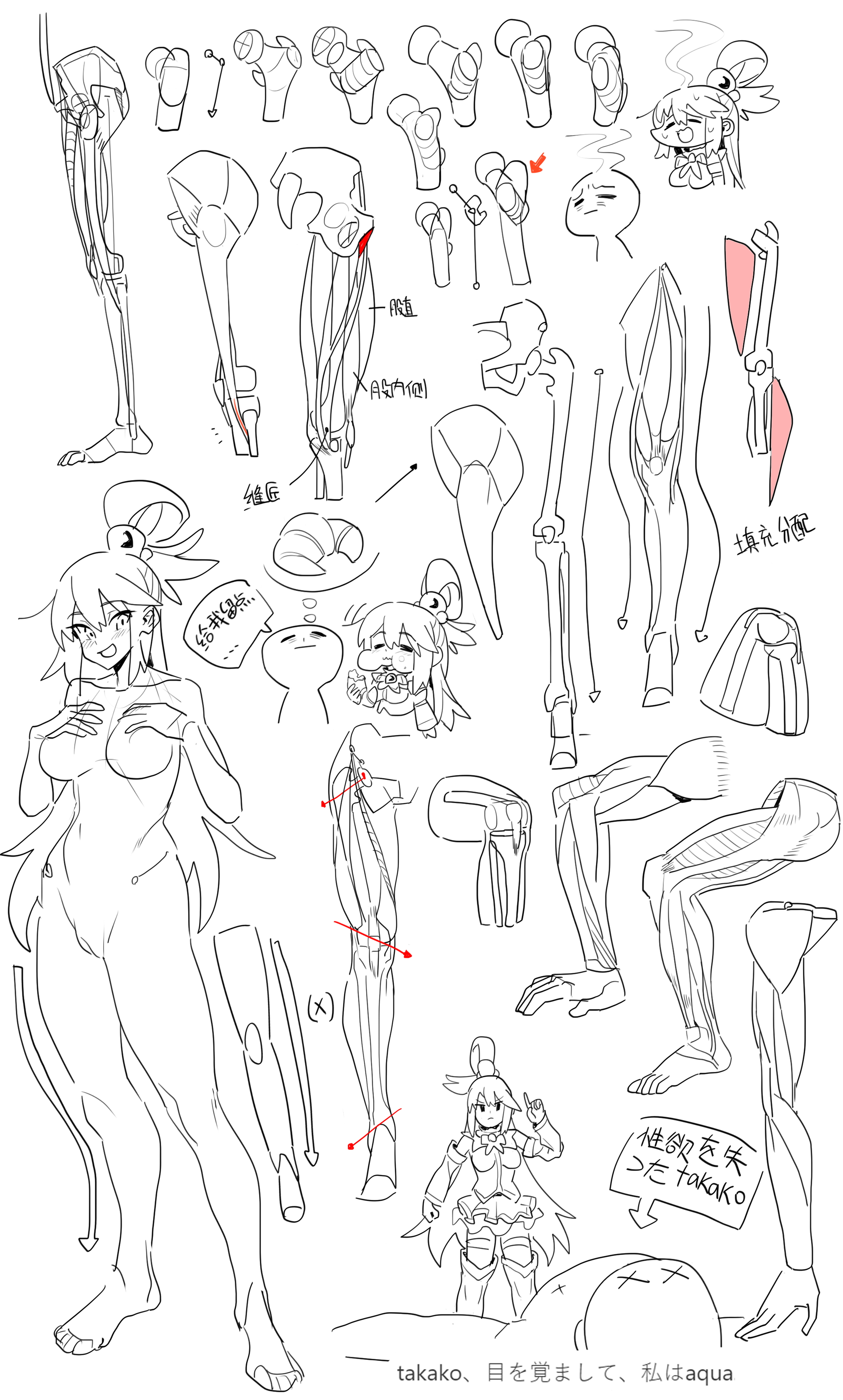the image is a collection of sketches and drawings related to anime and manga art, with a focus on human anatomy and character design. a significant portion of the image is dedicated to the study of leg anatomy, featuring various diagrams and sketches detailing the skeletal and muscular structures of the leg. several drawings of anime/manga style characters are interspersed throughout the image, including a notable character identified as aqua from the konosuba series. the image also contains japanese text, possibly providing additional context or information about the sketches. overall, the image appears to be a compilation of artistic studies, character designs, and educational content related to human anatomy and anime/manga art.