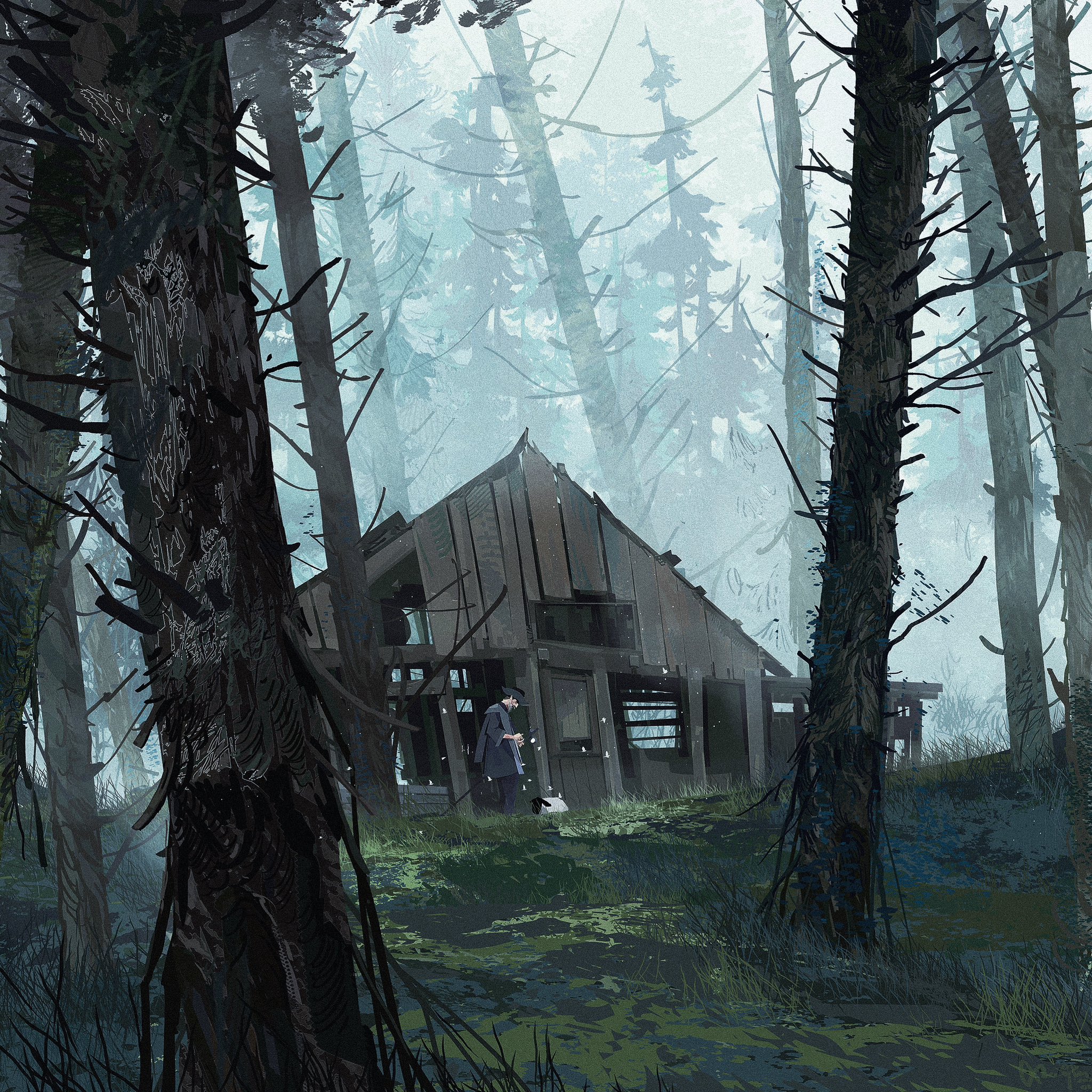 an old, abandoned cabin sits nestled among tall, mosscovered trees in a dark and foggy forest. a path winds its way through the undergrowth towards the cabin. a lone woman, barely visible in the shadows, stands at the edge of the porch. the overall atmosphere is one of mystery and solitude.