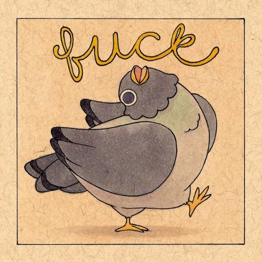 the illustration features a plump pigeon strutting confidently to the left, its right leg extended forward. the word "fuck" is whimsically written above the bird in a flowing script with yellow letters and pink highlights. the pigeon is drawn in profile with its head turned back towards the viewer, creating an air of defiance or sass. the overall style is simple and cartoonish, set against a plain tan background reminiscent of aged paper.