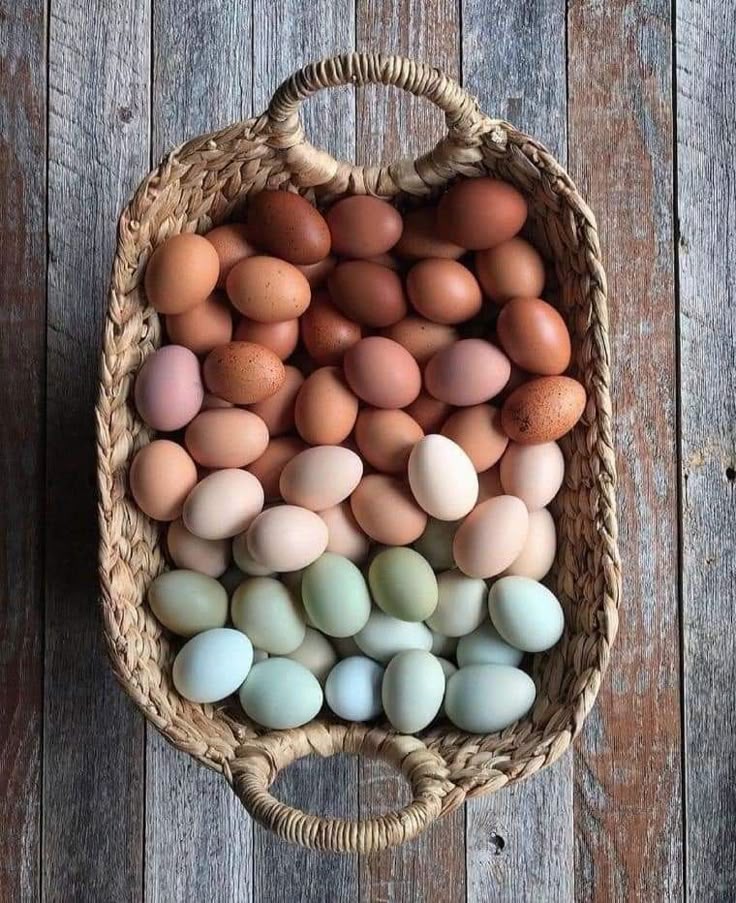 a basket filled with eggs of various colors, ranging from dark brown at the top to light blue at the bottom, with a gradient of beige, pink, white, and green in between. the basket is woven and has handles, and it is placed on a wooden surface with a textured appearance.