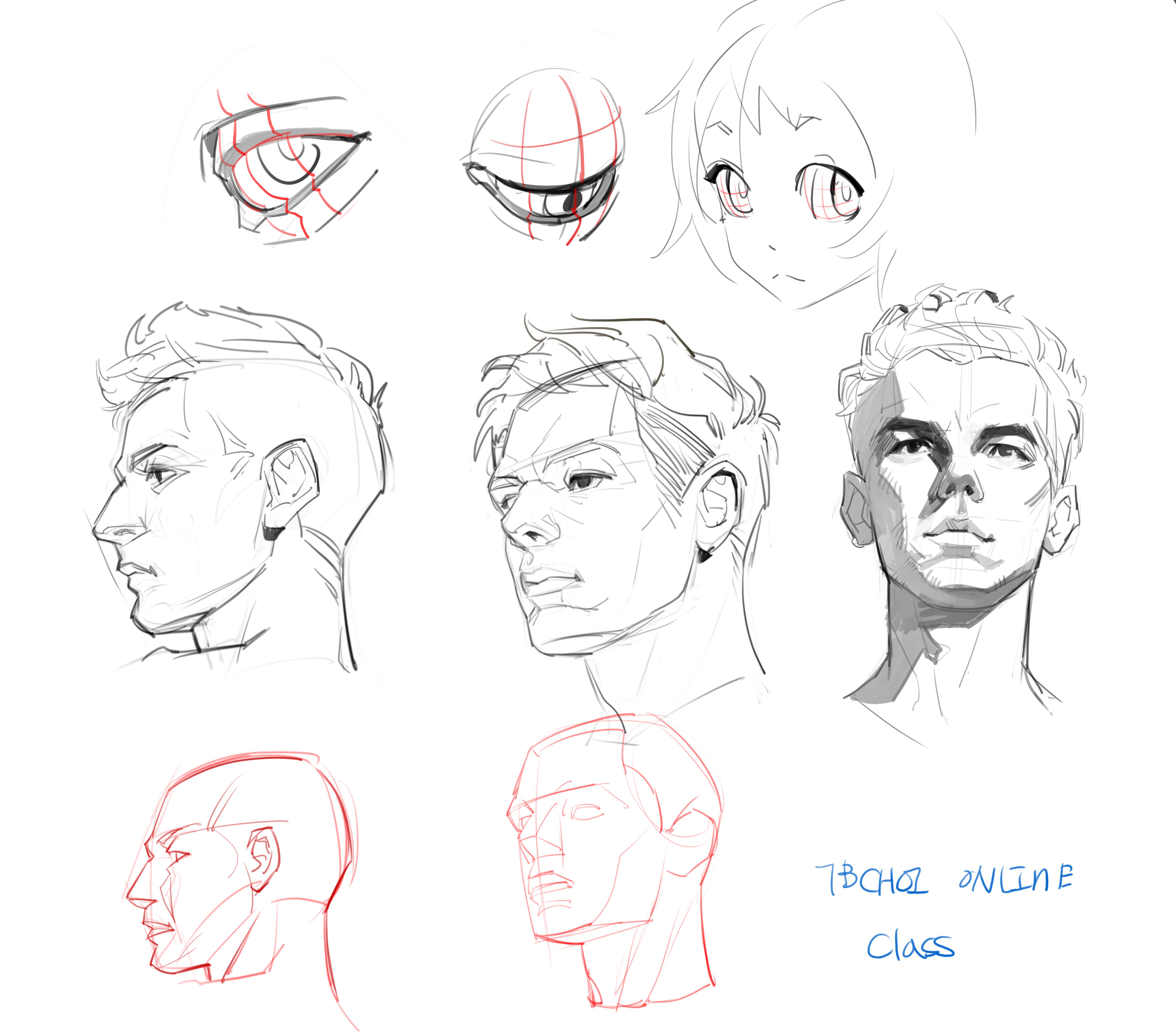 the image is a collection of various figure drawing sketches focusing on heads and faces.  it includes studies of eyes from different angles with underlying construction lines visible in some. there are multiple sketches of male heads, shown in profile, threequarter view, and more directly frontal, illustrating different angles and lighting.  a female animestyle face is included. some sketches show underlying geometric forms to construct the head's structure, while others are more refined. a basic skulllike structure is shown along with more fleshedout head sketches. the bottom right corner indicates it's from an online class, "tbchol online class".  the style is loose and expressive, characteristic of quick gesture studies rather than highly finished portraits.