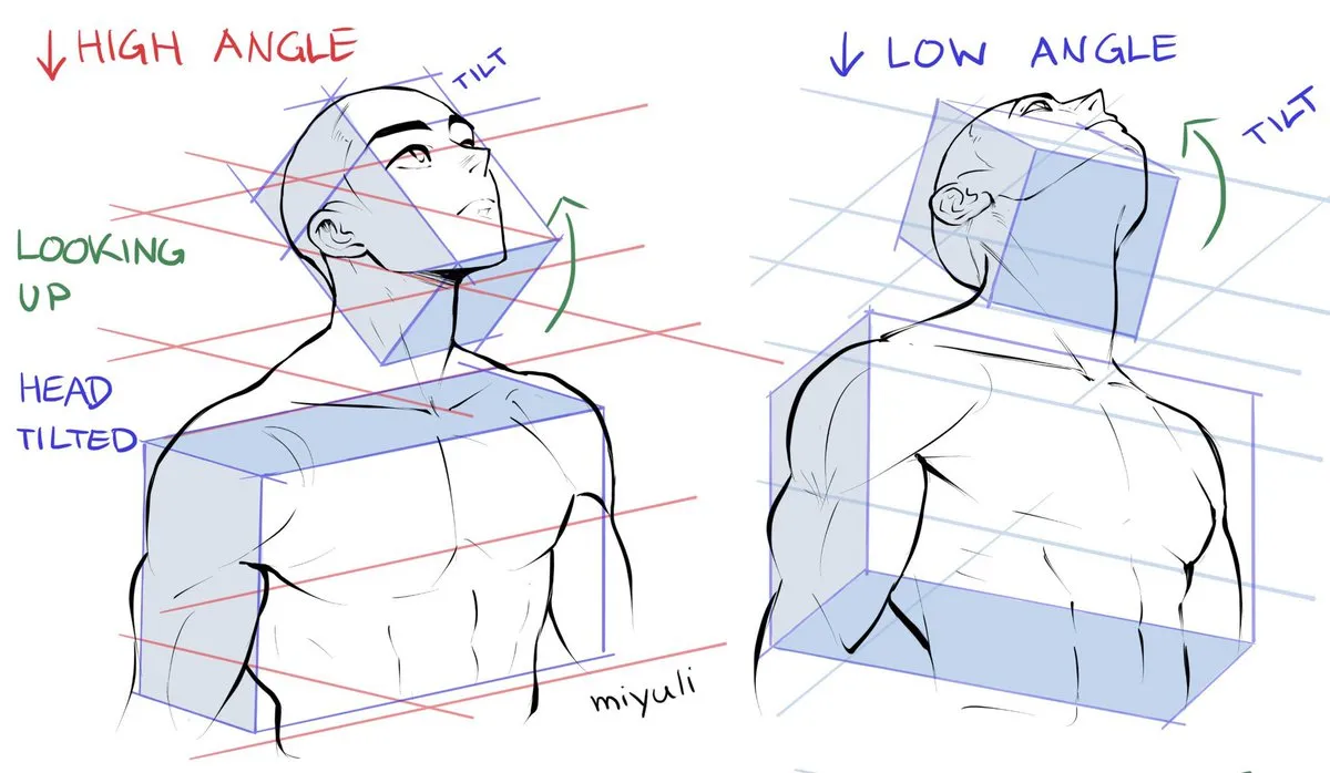 a drawing of a male figure from both a high angle and a low angle to illustrate perspective in drawing the human form.