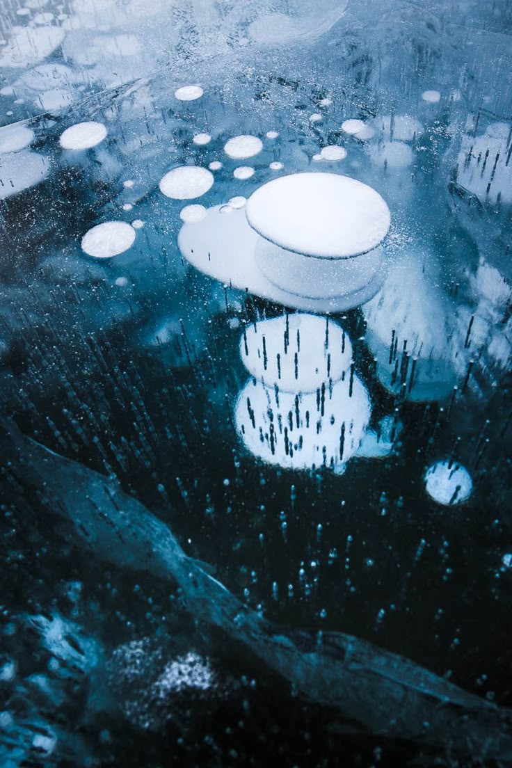 the image shows a closeup view of a frozen lake surface filled with trapped methane bubbles of various sizes, creating an interesting abstract pattern and texture. the ice has a blue tint, and the bubbles appear as white or lightcolored circles frozen within the ice layer.