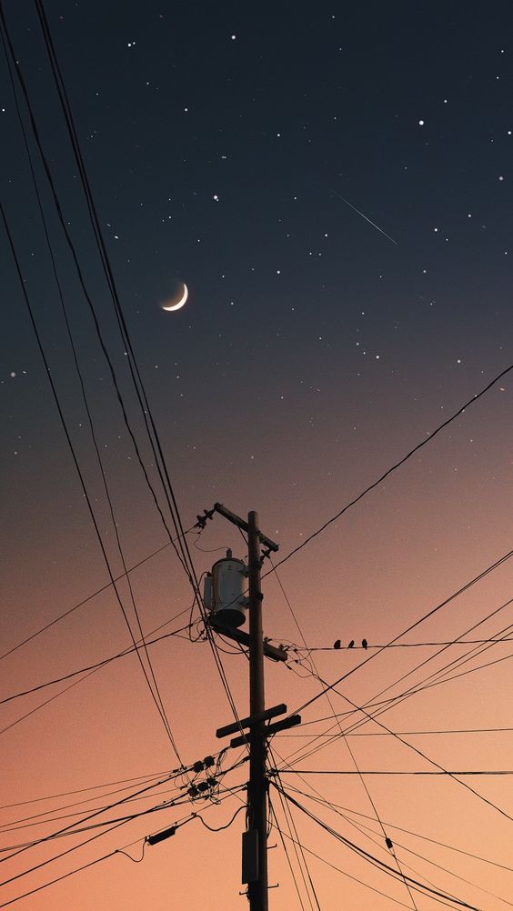 an image of a sunset with a low perspective looking up at powerlines, birds, and a crescent moon.