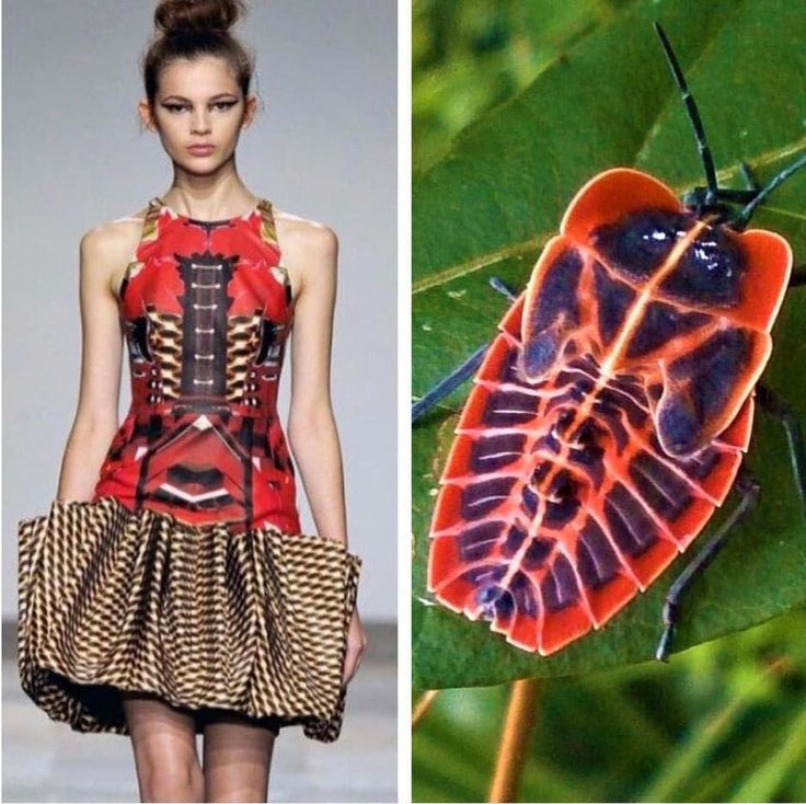 the image shows a woman wearing a red, black, and white dress with a large bug on a green leaf. the woman is standing on a runway, and the bug is shown in closeup. the contrast between the two subjects is striking. the woman's dress is bold and colorful, while the bug is delicate and intricate. the image is a beautiful example of the juxtaposition of nature and fashion.
