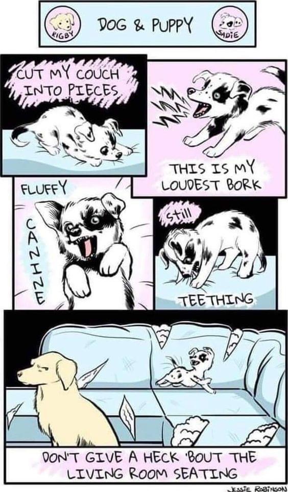 this is a comic strip featuring a series of four panels.  the comic is about the various ways that dogs and puppies can destroy furniture. in the first panel, a puppy is chewing on a couch. in the second panel, a dog is barking loudly. in the third panel, a puppy is teething on a couch. in the final panel, a dog is sprawled out on a couch, seemingly relaxed. the comic is funny and relatable to anyone who has ever had a dog or puppy.