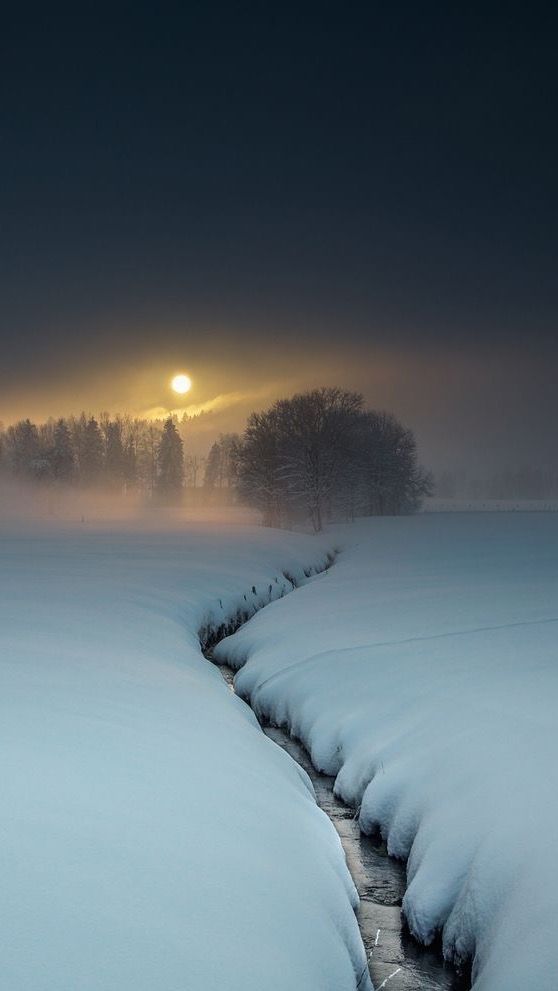 a serene winter landscape featuring a snowcovered field with a stream flowing through it. the sun is rising or setting, creating a soft glow in the foggy sky. trees are visible in the background, adding depth to the scene. the overall atmosphere is peaceful and calm.