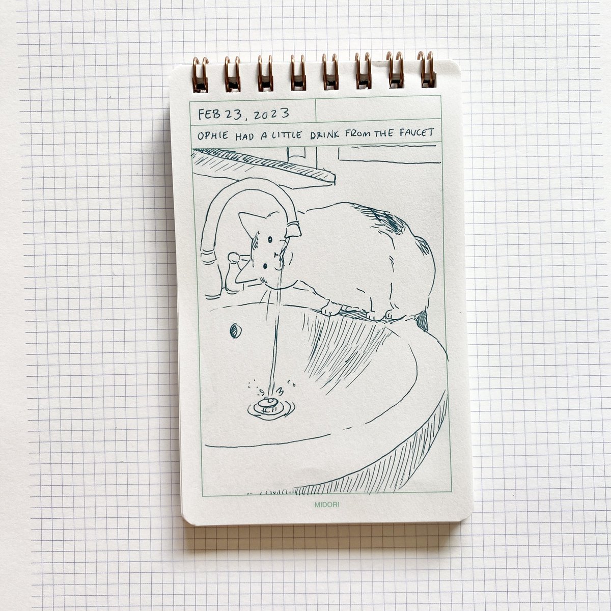 the image is a simple line drawing on a notebook page, with the date february 23, 2023, written at the top. the drawing depicts a cat named ophie getting a drink of water from a bathroom faucet. the cat is standing on the edge of the sink, leaning over to reach the stream of water coming from the faucet.  the drawing is signed by the artist at the bottom with "@clinakiko".  the notebook is a midori brand notebook.