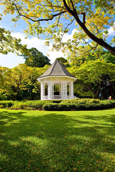 a picturesque scene of a white gazebo nestled in a vibrant green garden. lush trees with yellowgreen foliage provide ample shade, casting dappled shadows across the manicured lawn. the gazebo's intricate white latticework is clearly visible against the backdrop of the surrounding greenery. the sky is partially visible through the branches of the trees, suggesting a sunny day. the overall ambiance is peaceful and serene, typical of a wellmaintained botanical garden or park.