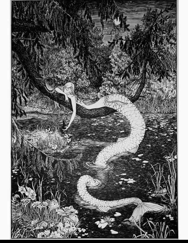 an illustration in black and white depicts a mermaid resting on a tree branch that stretches over a body of water. the mermaid leans against the branch with her upper body, while her tail, scaly and serpentine, descends into the water, creating a question mark shape. in the water below, another mermaid swims with her tail visible. the scene is set in a wooded area with dense foliage, reeds, and water lilies dotting the pond. the moon is visible in the sky above. the image has a fantasy and fairytale quality to it.