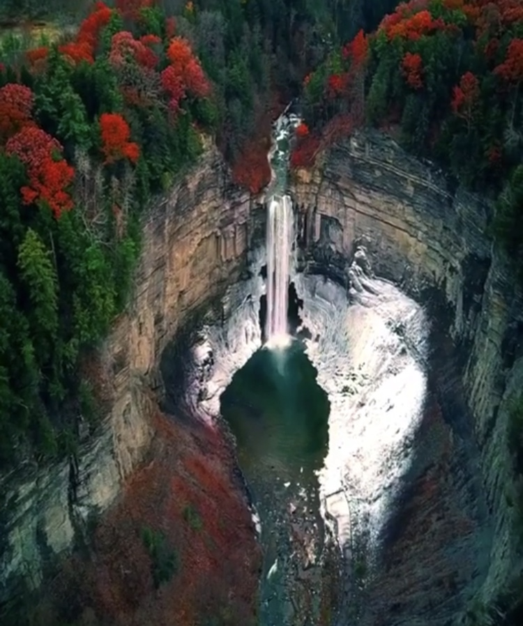 aerial shot of taughannock falls surrounded by autumn foliage and rocky cliffs. the waterfall cascades into a pool within the gorge. the surrounding landscape is a mix of green and red trees.