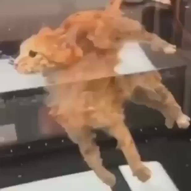 a ginger tabby cat is suspended in water with only its head and paws above the surface. it's looking to the left, with a playful expression. the cat's body is completely underwater, and its reflection can be seen in the water. the cat is in a glass container, and the image is taken from a low angle. the cat is very cute and silly, and its playful expression is captured perfectly in the image.