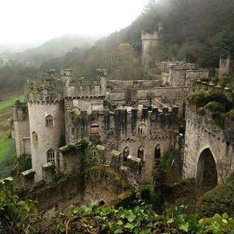 the image shows an old, ruined castle made of gray stone, with towers, walls, and archways, surrounded by foliage and set against a misty, overcast landscape.