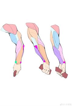 the image presents three stylized anatomical studies of an arm, likely a right arm, bending at the elbow and gripping an object.  each arm is rendered in a simplified, graphic style highlighting muscle groups in pastel pink and blue tones. the focus is on understanding the forms and how muscles engage during this specific movement, rather than realistic detail.  the hands are similarly stylized, indicating a strong grip. the absence of background or other context emphasizes the anatomical lesson.