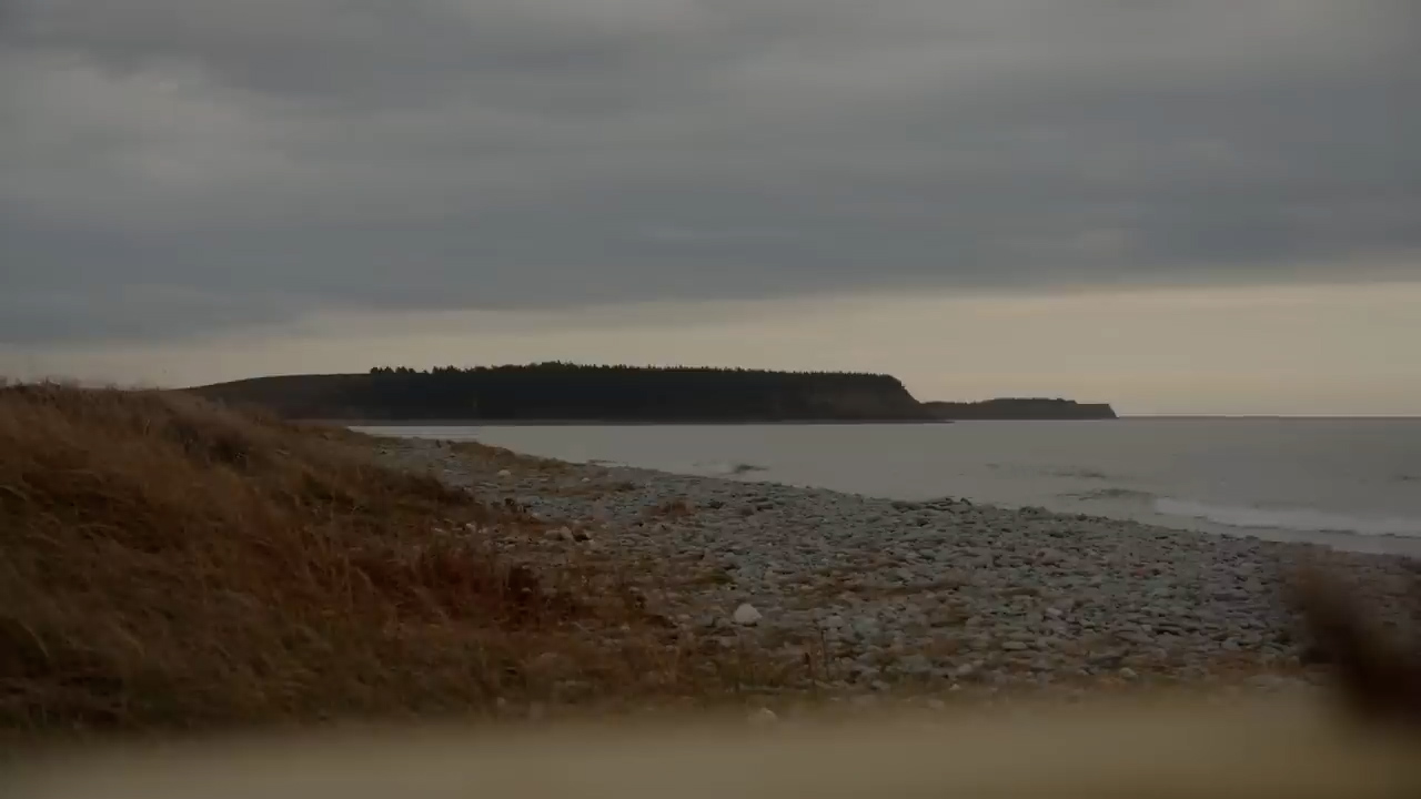 the image shows a beach with a forest covered hill in the distance. the sky is cloudy and the lighting is natural. the perspective is from the ground level. the beach is covered with gravel and grass. the sea is calm and the waves are small. the overall color palette is muted and natural.