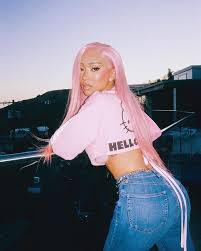 the image is a stylish portrait of a young woman with long, vibrant pink hair. she's wearing a pink crop top that says "hello" with a subtle hello kitty graphic, and highwaisted blue jeans. the setting appears to be outdoors in an urban environment, possibly at dusk or sunset, as the sky in the background is a soft blend of light and dark colors. the overall aesthetic is trendy and casual, with a focus on the model's fashionable clothing and striking hair.  the image seems to be a professional photograph, possibly for a fashion blog or magazine.