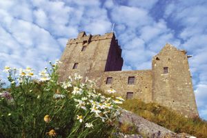 the image shows an imposing stone castle, perched atop a hill and set against a vibrant blue sky dotted with fluffy white clouds. lush green grass and a profusion of white daisies adorn the foreground, creating a sense of idyllic beauty. the castle's weathered stone walls, complete with small windows, speak to its age and history, while the low angle perspective emphasizes its grandeur. the overall impression is one of tranquility and timeless strength.