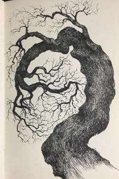 a black and white ink drawing of a tree with thick branches and a large trunk, its branches reaching up into the sky, creating a dramatic silhouette against the white background. the detailed hatching and crosshatching of the ink lines create a sense of depth and texture, showcasing the artist's skillful use of pen and ink. the image evokes a sense of both strength and fragility, suggesting the powerful yet vulnerable nature of trees.