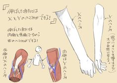 a drawing showing the anatomy of an arm. the drawing shows the muscles and tendons of the arm in both a relaxed and extended position. there are japanese annotations describing the different parts of the arm. there is also a simple stick figure pointing at the arm.