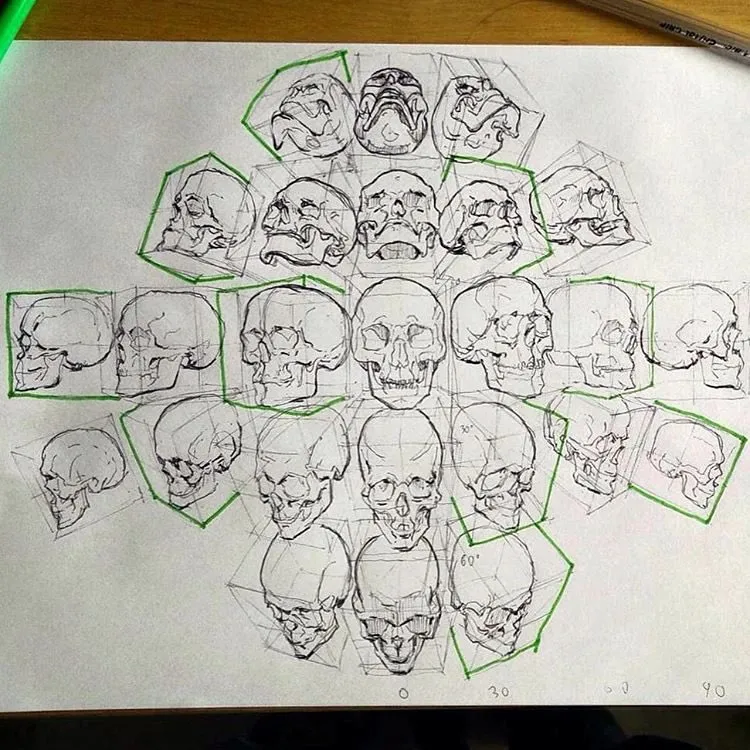 this is an anatomical drawing of skulls. it shows the same skull from various angles in order to study the structure and understand how to draw it from different perspectives. the skulls are simplified and rendered in black and white, and some are enclosed in green boxes to help visualize different perspectives.