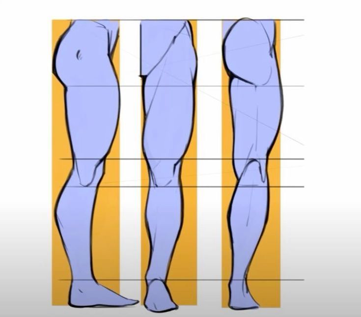 this image is a drawing tutorial on how to draw the leg muscles in 3 different views: front, side and back. it is an anatomy reference guide that outlines the major muscles in the leg.