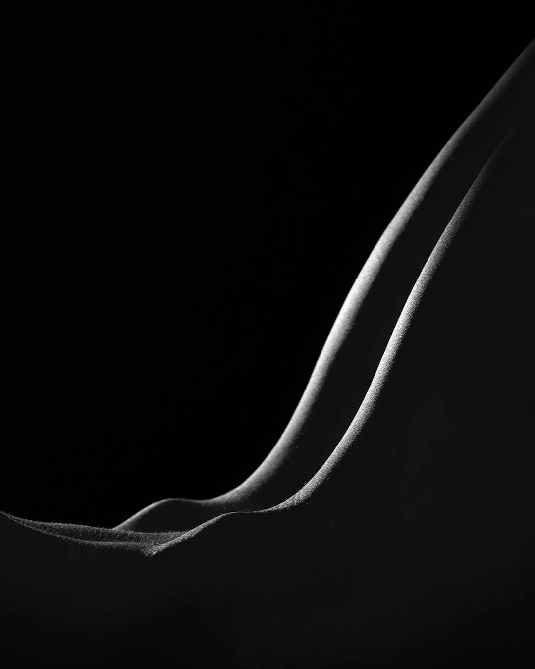 the image is a black and white fine art photograph focusing on the abstract curves and forms of a female body. the lighting is dramatic, with strong contrasts between light and shadow, highlighting the texture of the skin and creating a sense of depth and sensuality. the subject is largely obscured in shadow, allowing the viewer to focus on the graceful lines and shapes. the composition is minimalist, focusing on the elegance of the body's form.  the overall mood is both sensual and mysterious.