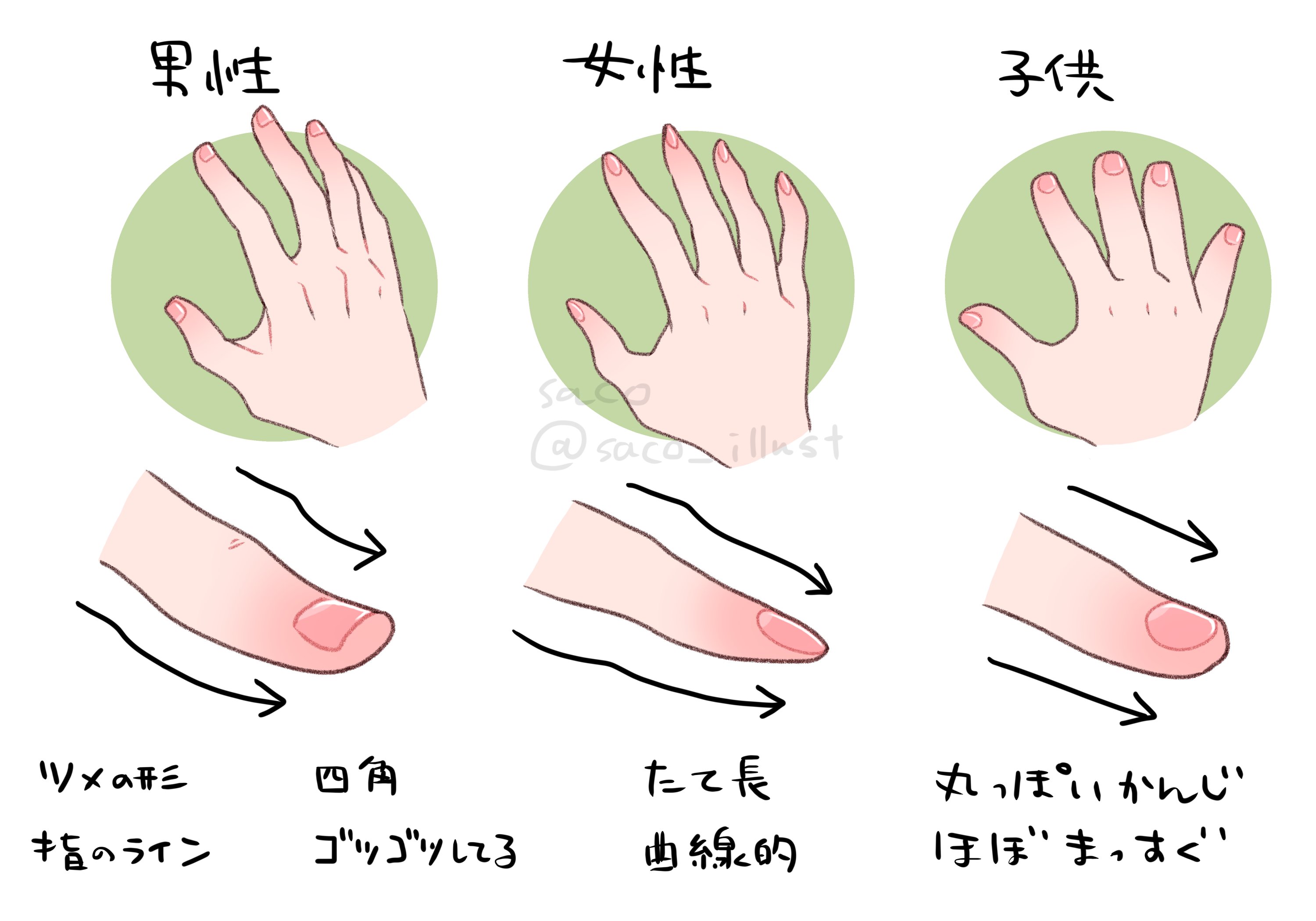 this image shows the different shapes of fingernails for male, female, and children. in the first image, a hand representing a male is showing a square shaped fingernail, with the caption saying “finger tip lines” and “rough and angular”.  the second image is a hand representing a female showing a long rectangle fingernail, with the caption saying “long” and “curved”. the third image shows a hand representing a child with a round fingernail, with the caption saying “round” and “almost straight”.