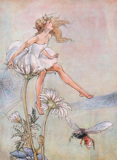 a vintage illustration shows a barefoot fairy in a white dress and crown perched on a large white flower. her left leg is extended as if she is stepping onto a blue, translucent surface. below her, a large wasp flies toward the flowers. the artwork has a delicate, ethereal quality.