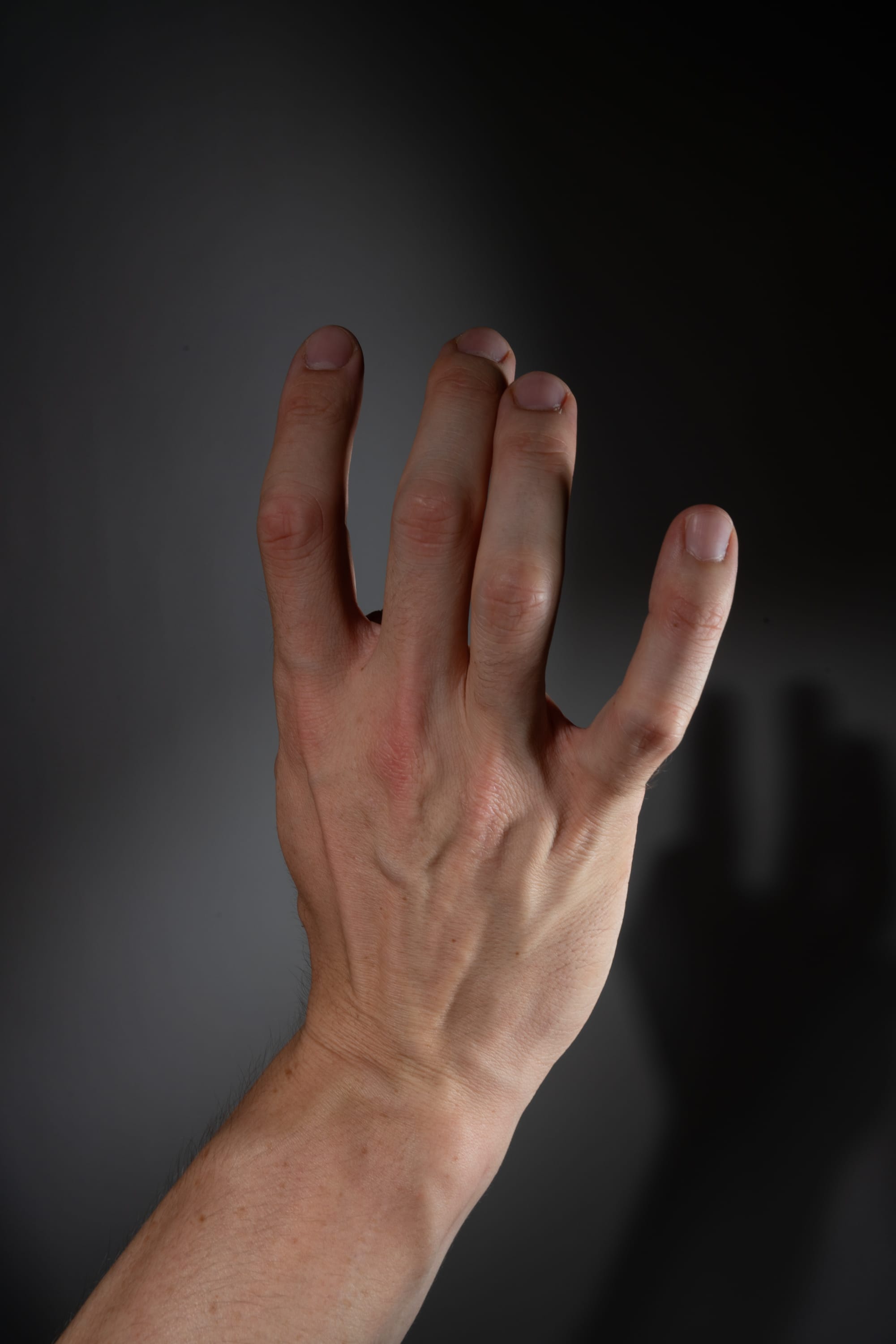 a man's right hand is extended against a dark gray background. the hand is illuminated from the side, casting a distinct shadow on the wall. the hand is open, with the fingers slightly spread. the skin of the hand is light brown and shows prominent veins.