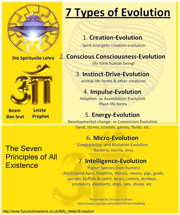the image is a diagram that outlines the seven types of evolution as described by billy meier. the diagram is presented in a yellow background with the text "7 types of evolution" in a black font.  the diagram is broken down into seven sections, each with a different title and description.  the first section is "creationevolution," which describes the spirit's energetic creationevolution. the second section is "conscious consciousnessevolution," which describes the life form of a human being. the third section is "instinctdriveevolution," which describes animal life forms and other creatures. the fourth section is "impulseevolution," which describes adaption or assimilation evolution. the fifth section is "energyevolution," which describes developmental change and conversion evolution. the sixth section is "microevolution," which describes compatibility and mutation evolution. the seventh section is "intelligenceevolution," which describes higher species (nonhuman). the diagram is presented in a visually appealing and easytounderstand format.  it also includes a small image of a ufo, a sanskrit symbol, and the words "the seven principles of all existence," indicating that the diagram is related to the teachings of billy meier. the bottom of the image also mentions a website and youtube channel for further information.  the image serves as a visual representation of the seven types of evolution, which is a key concept in billy meier's teachings.