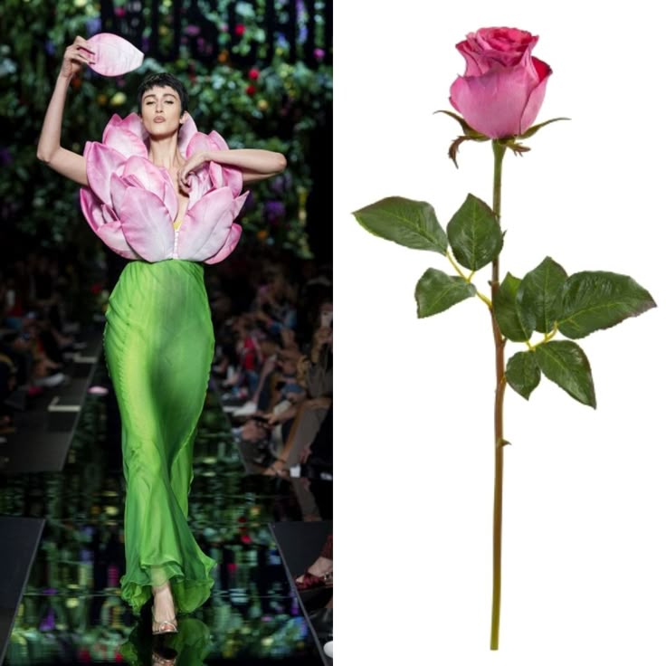 the image shows a model on a runway wearing a large pink flower dress with a green stemlike skirt next to an image of a pink rose with leaves and a long stem.
