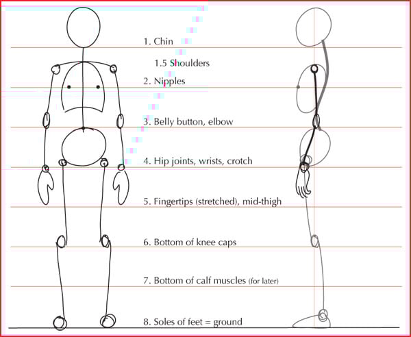 the image shows a basic guide for drawing the human body, with numbered labels for each joint and body part. it includes two figures: one in front view and the other in side view.  the image illustrates the relative position of each body part.  the guide is intended to be used as a tool to learn how to draw human figures accurately.