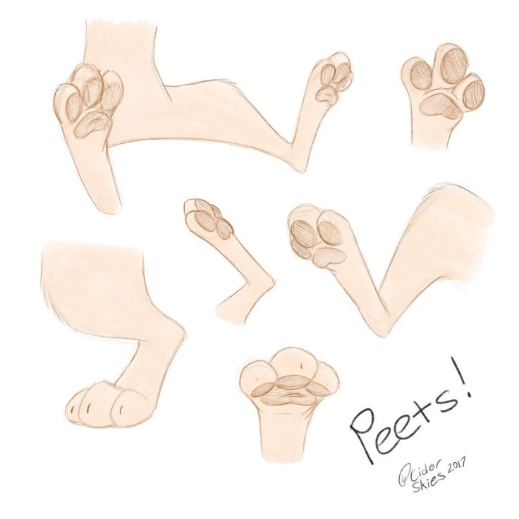 the image showcases various sketches of animal paws, primarily focusing on cat paws. the drawing style is cartoonish and the paws are labeled as "peets!". there are several different poses and angles, each showing the details of the paws and legs. the image includes details such as the pads, toes, and fur texture.