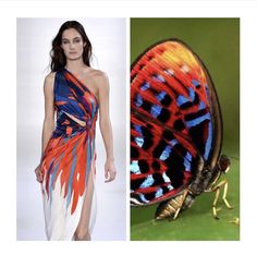 the image shows a woman in a colorful dress on the left side of the image, and on the right side, a closeup shot of a beautiful butterfly with colorful wings. both the woman and the butterfly are wearing similar shades of red, blue, and black colors. the image showcases a beautiful and harmonious blend of fashion and nature.