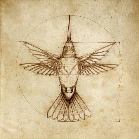 this is a vintage drawing of a hummingbird in flight, depicted in a geometric design. the hummingbird is positioned in the center of a circle, with its wings spread wide. the circle is itself contained within a square. the drawing is done in brown ink on an aged paper background. the lines of the drawing are delicate and precise, and the overall effect is one of beauty and grace. the drawing suggests that the hummingbird is a symbol of balance and harmony. it is a reminder that even in the midst of chaos, there is order and beauty to be found. the drawing is also a testament to the artistic skill of the artist, who has captured the intricate details of the hummingbird in a way that is both accurate and aesthetically pleasing.