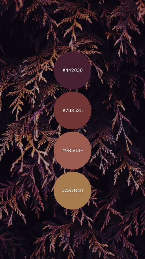 this image showcases a beautiful autumn color palette inspired by the warm hues of nature. it features four color swatches, each with a hexadecimal code, set against a background of rich brown and red leaves, creating a visually appealing and harmonious combination. the colors transition from a deep burgundy (#442030) to a warm brown (#a67b4d), suggesting the subtle changes in foliage during the fall season. the image evokes a sense of warmth, tranquility, and the beauty of nature in its transition. it is a perfect visual guide for anyone seeking inspiration for color palettes in design, art, or any creative project.