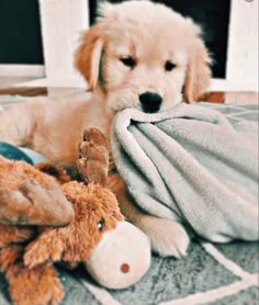 a golden retriever puppy is lying on a blanket with a stuffed animal, it has its head resting on the blanket. the dog is looking off to the side and has a playful expression on its face. the puppy's fur is a beautiful golden brown, and the blanket is a soft, white color. the puppy is surrounded by the warm and cozy feeling of a blanket.