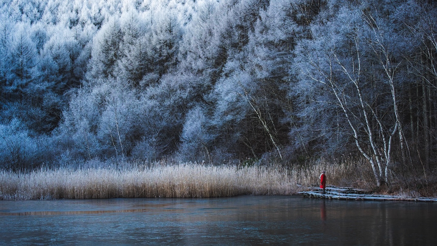 a person in a red coat stands alone on a small wooden dock extending into a frozen lake.  the lake is partially covered with a thin layer of ice. the background is dominated by a dense forest of trees covered in a thick layer of frost, creating a stark winter scene.  the reeds along the shoreline are also frosted. the overall mood is one of quiet solitude and serene winter beauty. the colors are muted blues and whites, reflecting the cold winter light.