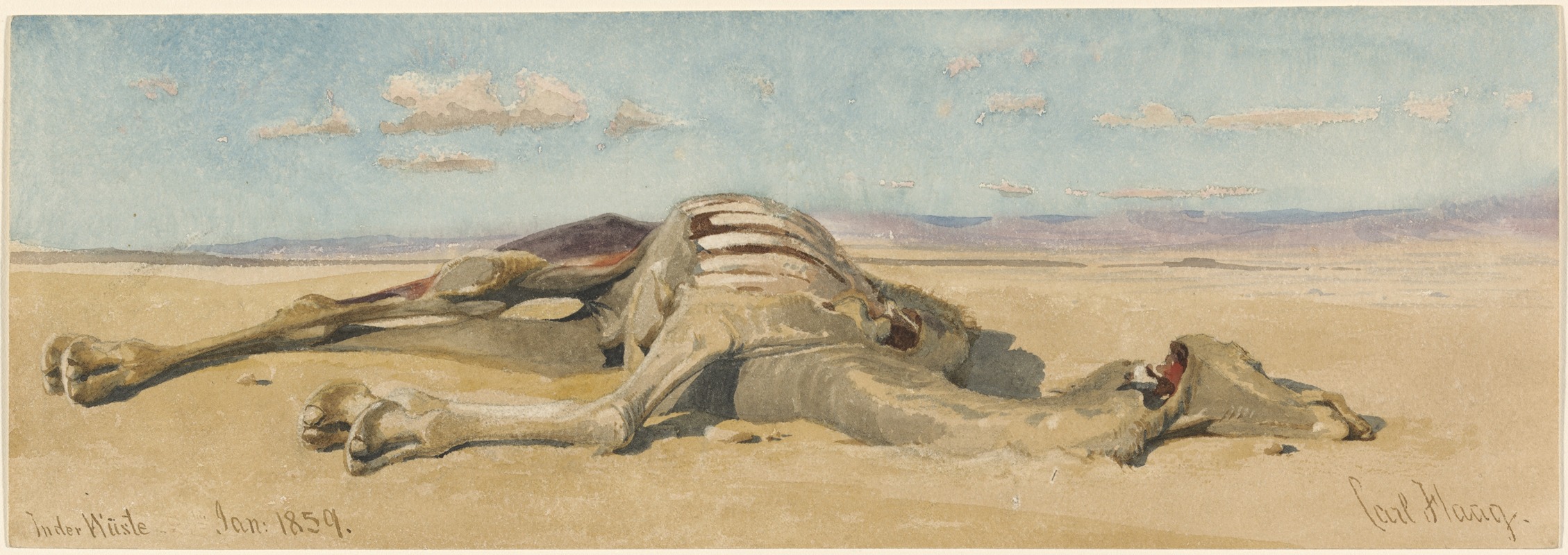a watercolor painting depicts a dead camel lying on its side in a desert landscape. the camel's carcass appears skeletal, with ribs visible. the surrounding landscape is arid, with sand dunes stretching to the horizon. the sky is light blue with scattered clouds. the artist's signature, "carl haag", is visible in the bottom right corner, and text near the bottom left reads "inder wüste jan: 1859".