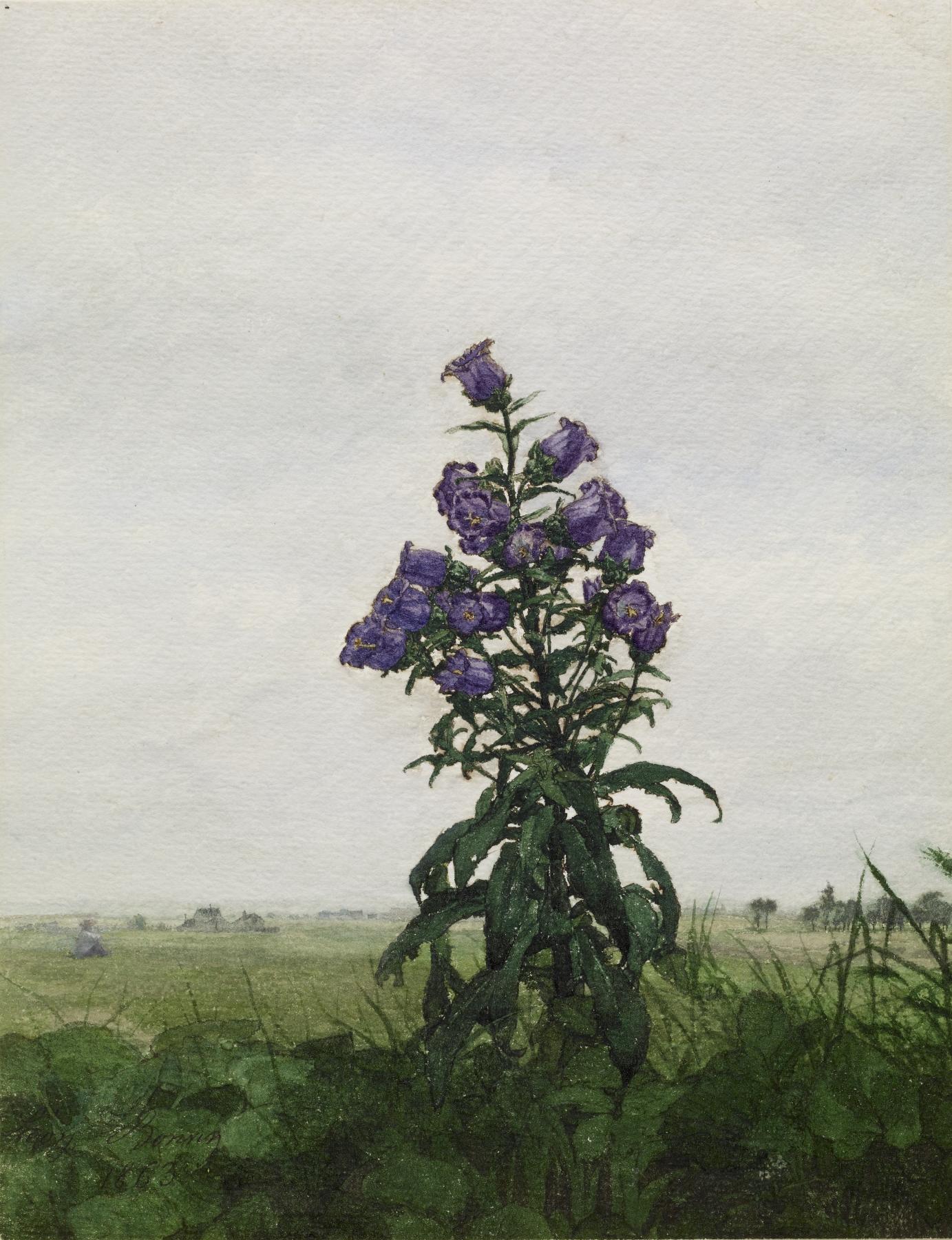 the image is a painting of a tall flower with purple blooms standing prominently in a field. the field has lush green foliage in the foreground, transitioning to a more distant, slightly blurred landscape under an overcast sky.