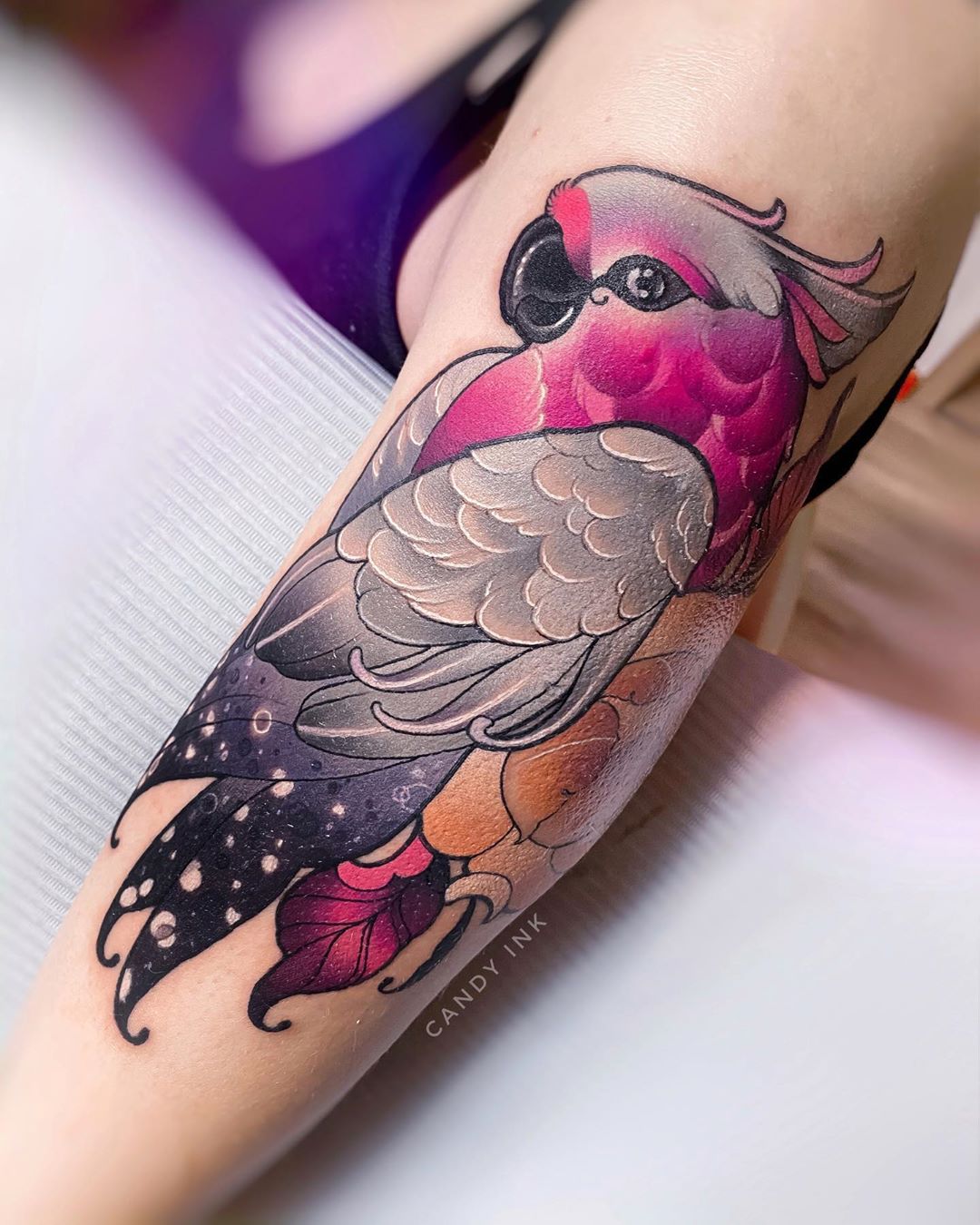 a person's arm with a colorful, detailed tattoo of a pink and grey galah cockatoo perched on a branch with flowers. the tattoo is done in a neotraditional style with bold lines and shading. the bird is facing to the left and its wing extends across most of the arm.