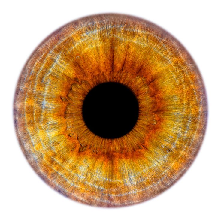 a detailed macro shot of a human eye iris. the iris features a mix of golden, amber, and subtle blue hues, creating a vibrant and textured appearance. the pupil is black and centered.