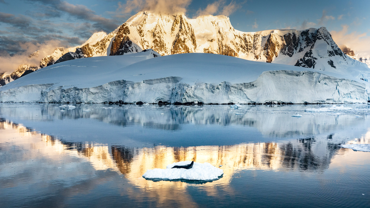 this image shows a weddell seal lying on an iceberg in antarctica. the iceberg is surrounded by water reflecting the snowcovered mountains and cloudy sky in the background. the landscape is icy and serene, with glaciers visible along the shoreline.