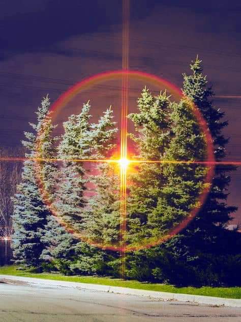 the image depicts a row of evergreen trees at night, bathed in an unusual and striking light effect. a bright, almost starlike light source is positioned centrally behind the trees, creating a large, reddishorange halo or ring effect around them. this light appears to be causing significant lens flare, extending vertically upwards through the sky and adding to the overall dramatic and almost otherworldly atmosphere. the trees are dark green, suggesting it may be winter. the foreground shows a dark asphalt street or road. the scene evokes a feeling of mystery and magic.