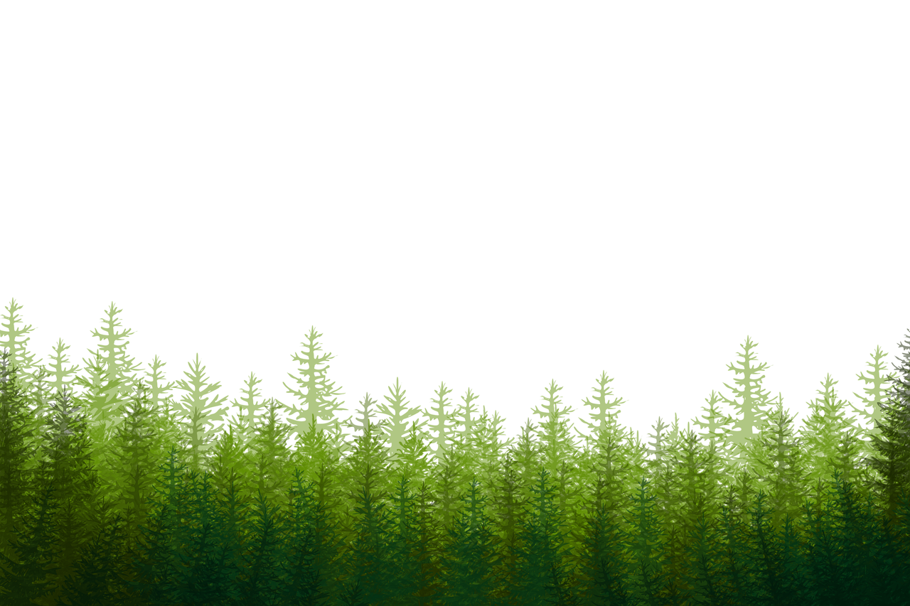 a black background with green pine trees silhouetted at the bottom. the trees are of varying heights and create a sense of depth.