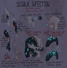 a diagram detailing the stages of a fictional "sculk infection." it highlights modes of transmission, symptoms, progression, and ultimately, death. the illustration style is reminiscent of anatomical drawings, showcasing the infection's spread throughout a human body.