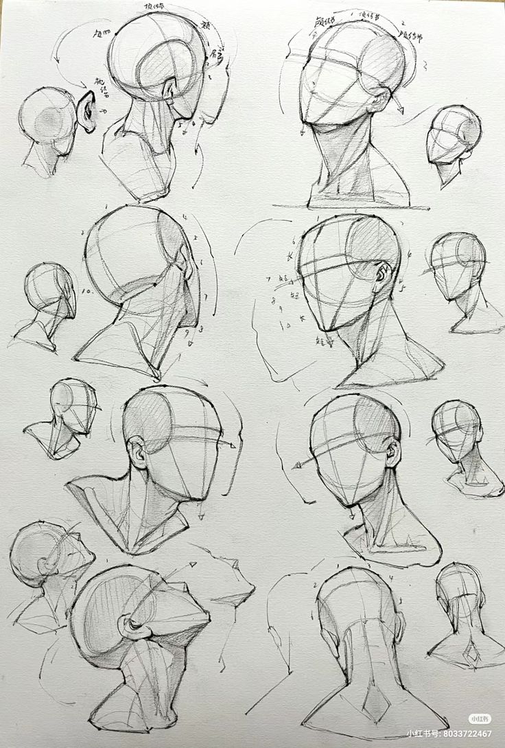 this image is a pencil drawing of a human head, showing the construction lines used to create the shape.  the artist has used a variety of angles and perspectives to show the head from different viewpoints.  the drawing is very detailed and shows a good understanding of human anatomy. the image contains multiple sketches of the head, each one with varying angles.  the image is likely a study for a more complex drawing.