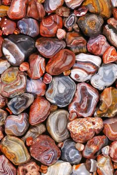 a closeup image of a collection of polished agate stones. the stones are various shapes and sizes, and each one has a unique and intricate pattern of colors and bands. the agates are arranged in a random but pleasing way, creating a visually appealing and textural composition. the image captures the beauty and complexity of these natural gemstones.